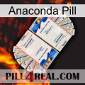 Anaconda Pill kamagra1